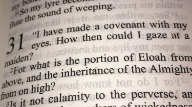 Picture of a part of the book of Job focused on not coveting with the eyes.